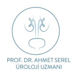 Prof. Dr. Ahmet SEREL
