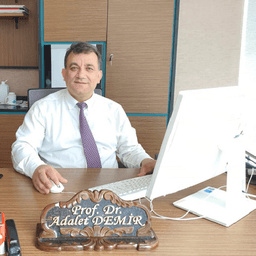 Prof. Dr. Adalet Demir