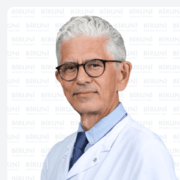 Prof. Dr. Hilmi Apak