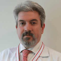 Prof. Dr. Güven Olgaç