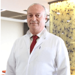Prof. Dr. Şafak Sahir Karamehmetoğlu