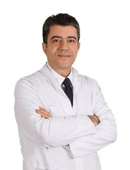Prof. Dr. Sinan Karaoğlu