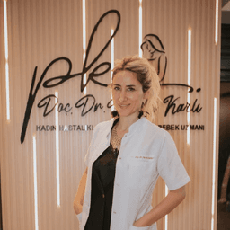 Prof. Dr. Pervin Karlı