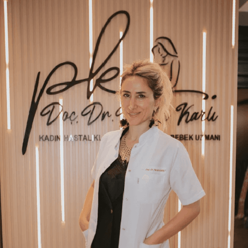 Doç. Dr. Pervin Karlı