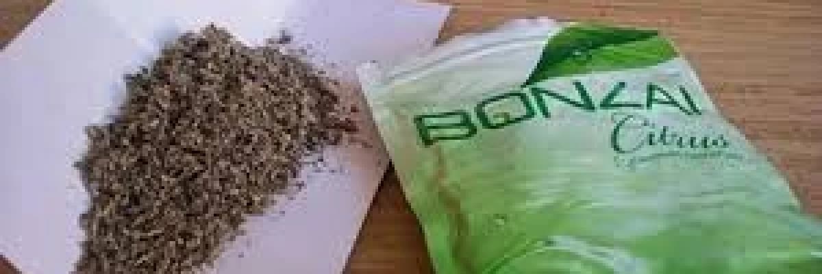 Gençlerin tehlikeli oyunu bonzai  (sentetik marihuana)