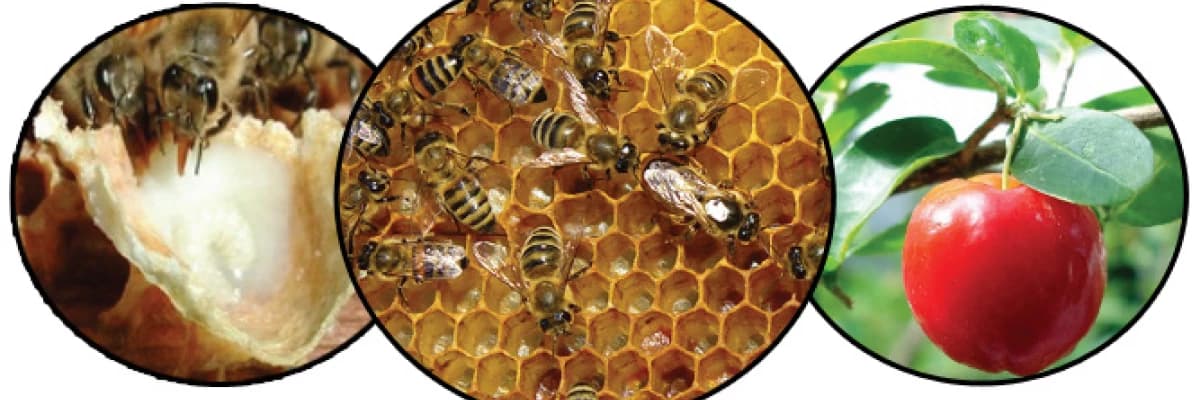 Vitamin deposu gıdalar