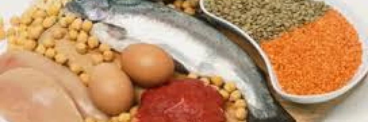 Bebeğinizin yapı taşı protein