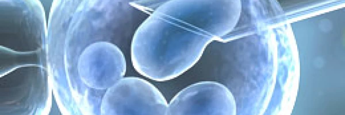 Embriyonun içine yolculuk : kapsamlı genetik tarama (acgh)