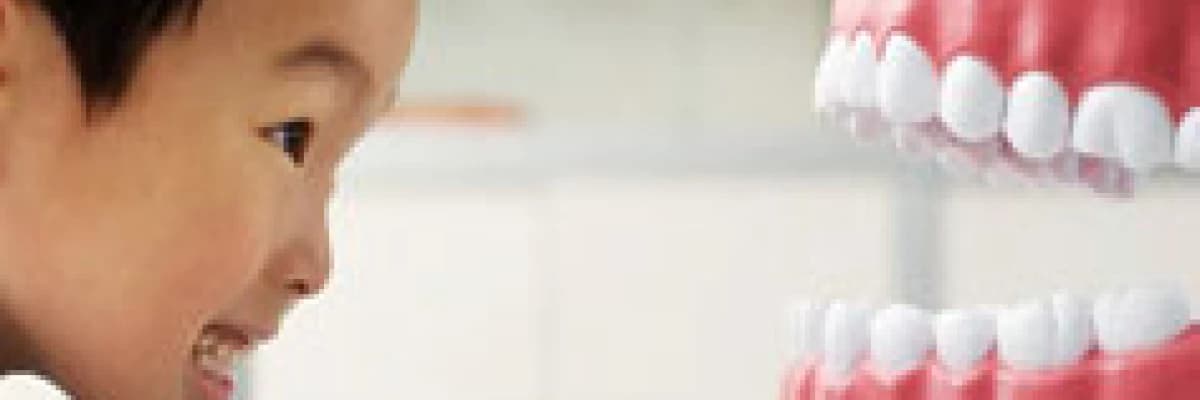 Şimdi ortodonti zamanı…