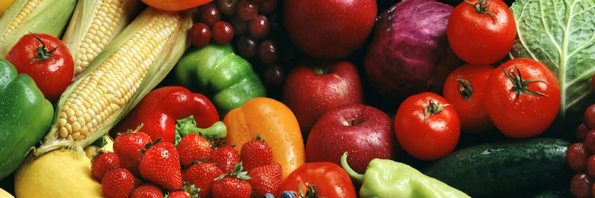 Metabolik Balans’ın Tıbbi Temelleri