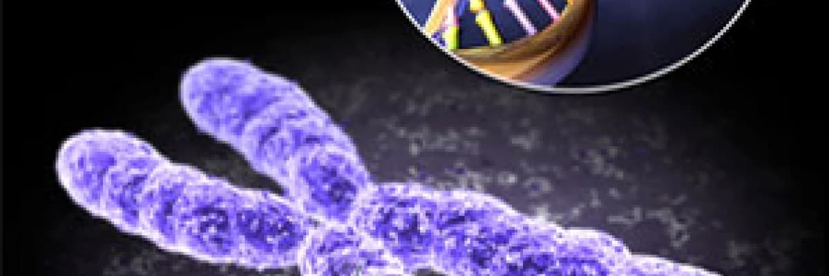 Down Sendromu Taraması