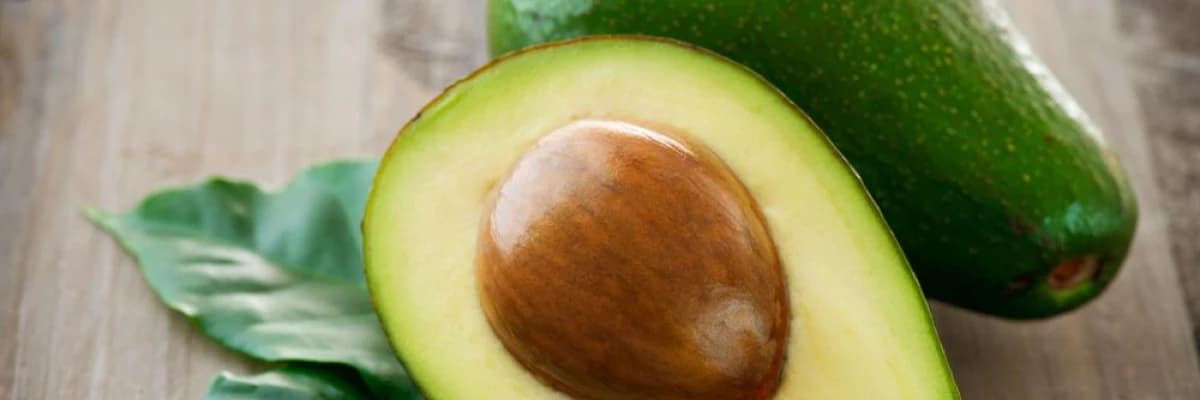 SİHİRLİ AVOKADO