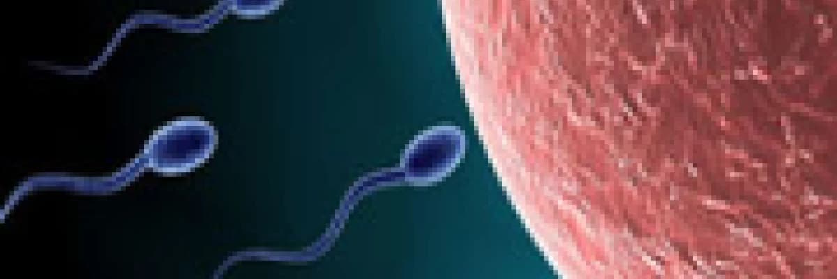 Sorularla Kısırlık Hakkında  Merak edilenler?