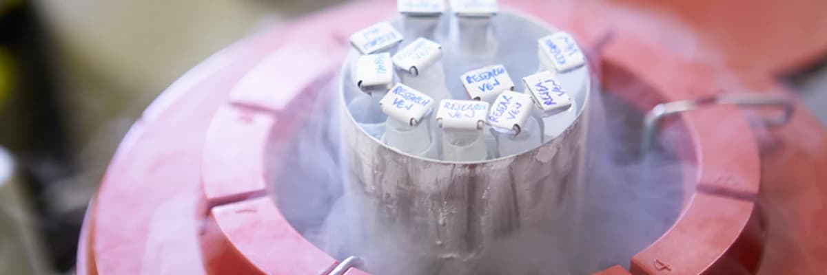 Yumurta dondurma Nedir? Nasıl Yapılır?