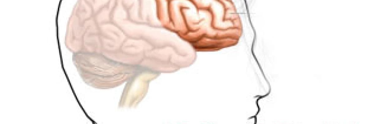 Epilepsi (sara) hastalığı nedir, tedavisi nasıldır?