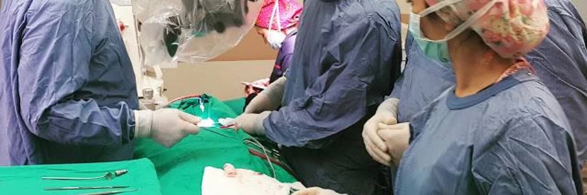 Bel fıtığında mikrocerrahi tedavi