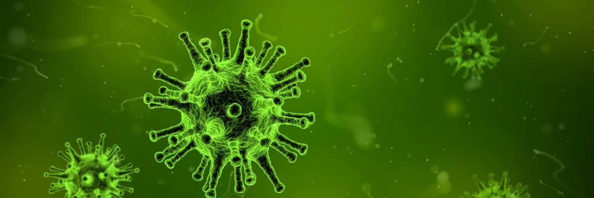 Hpv virüsü nasıl bulaşır?