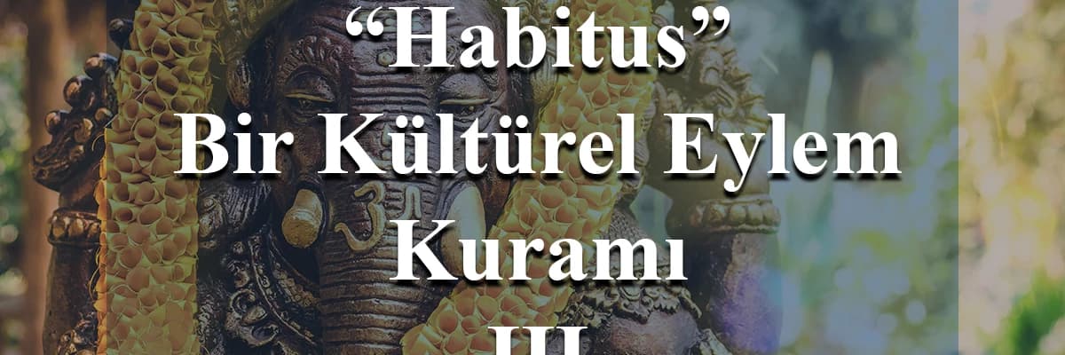 Habitus Bir Kültürel Eylem Kuramı III