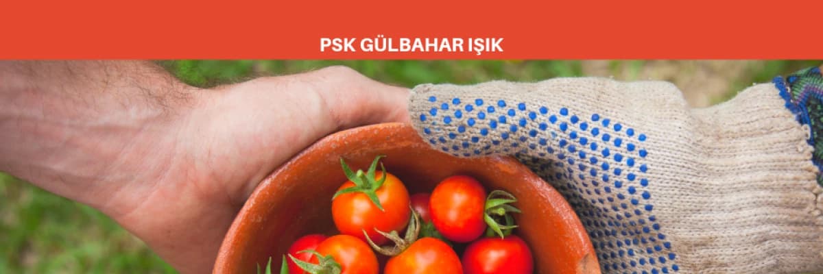 Psikolojik Dayanıklılık Nasıl Korunur?