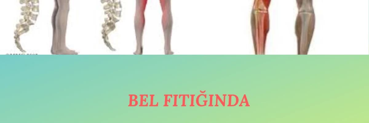 BEL FITIĞI, DİZ- EKLEM PROBLEMLERİ, DONUK OMUZ ve PROLOTERAPİ ile TEDAVİ EDİLMESİ