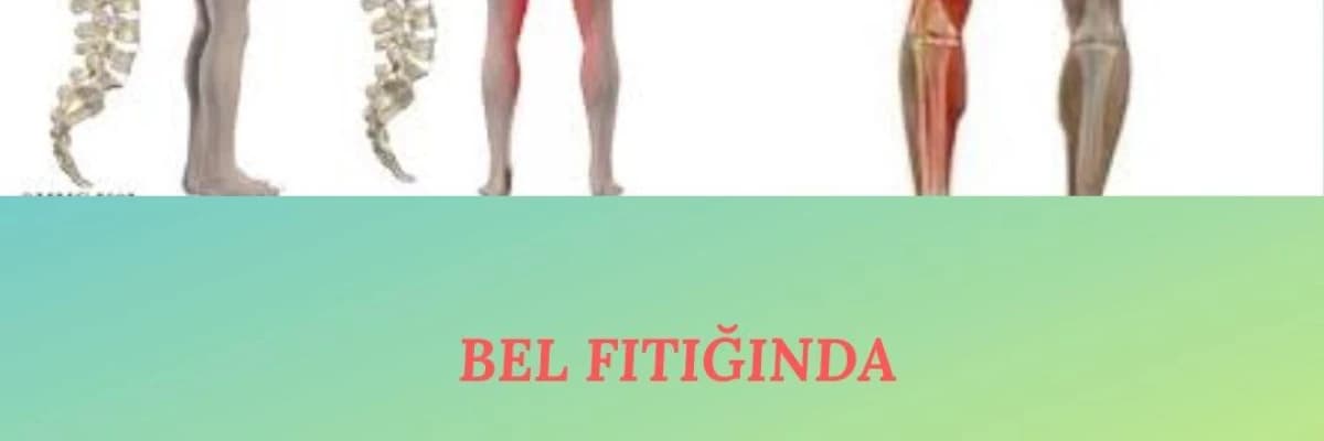 Bel fıtığı, proloterapi ile tedavi edilebilir mi?