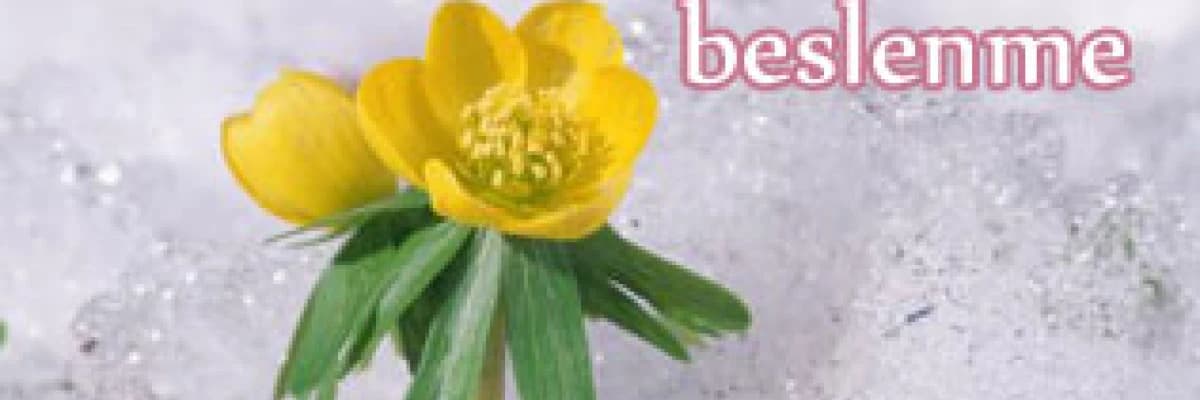 Kış aylarında  beslenme