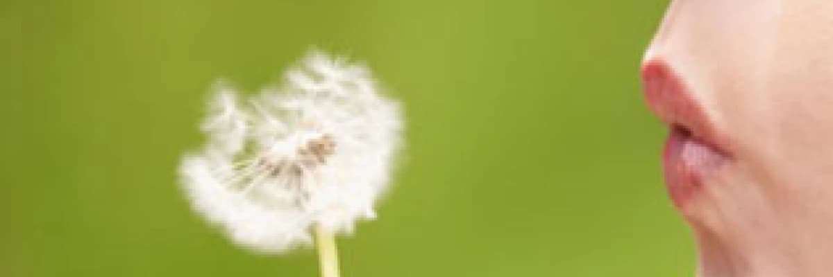 Allerjik deri testi