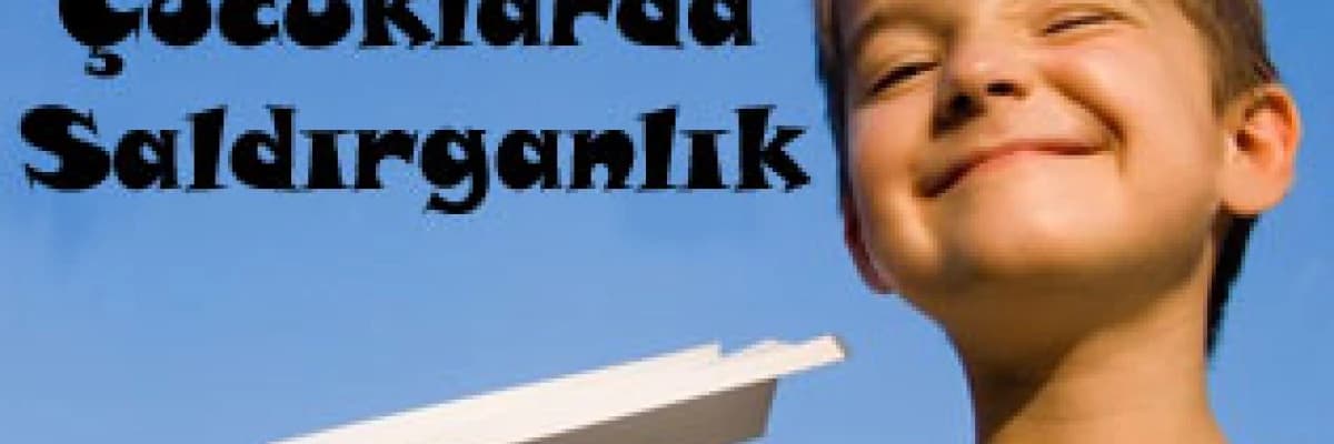 ÇOCUKLARDA SALDIRGANLIK