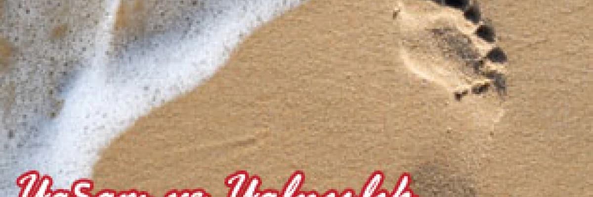 Yaşam ve yalnızlık