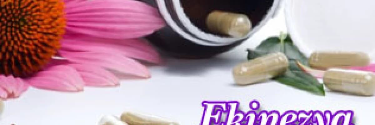 Ekinezya