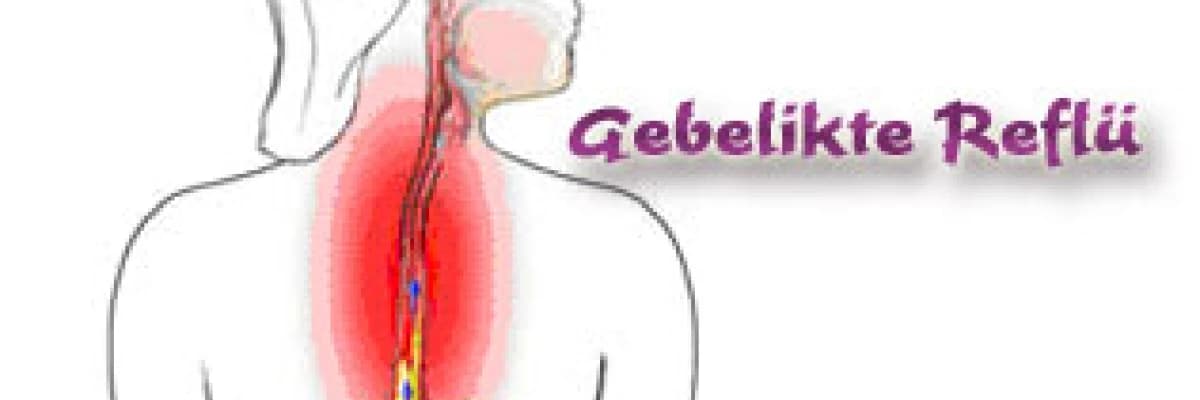 Gebelikte reflü