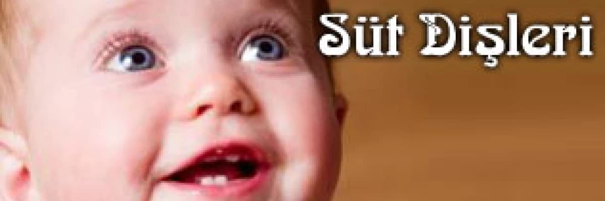 Süt dişleri