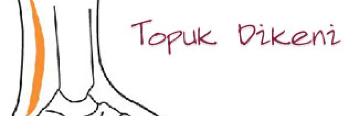 Topuk dikeni,