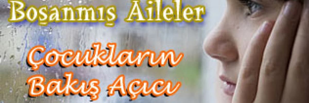 Boşanmış/Ayrılmış Ailelerden Gelen Genç Yetişkin Kadınların Karşı Cinsle İlişkileri ve Evliliğe yönelik Tutumları