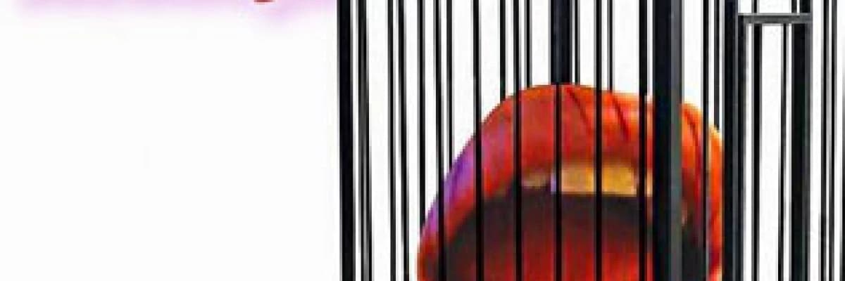 Dil Konuşma Bozukluğu