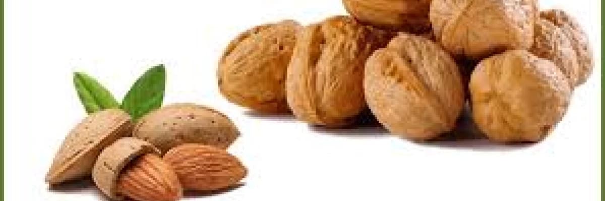 Omega-3 ve Omega-6 Yağ Asitleri ve Sağlıklı Beslenme