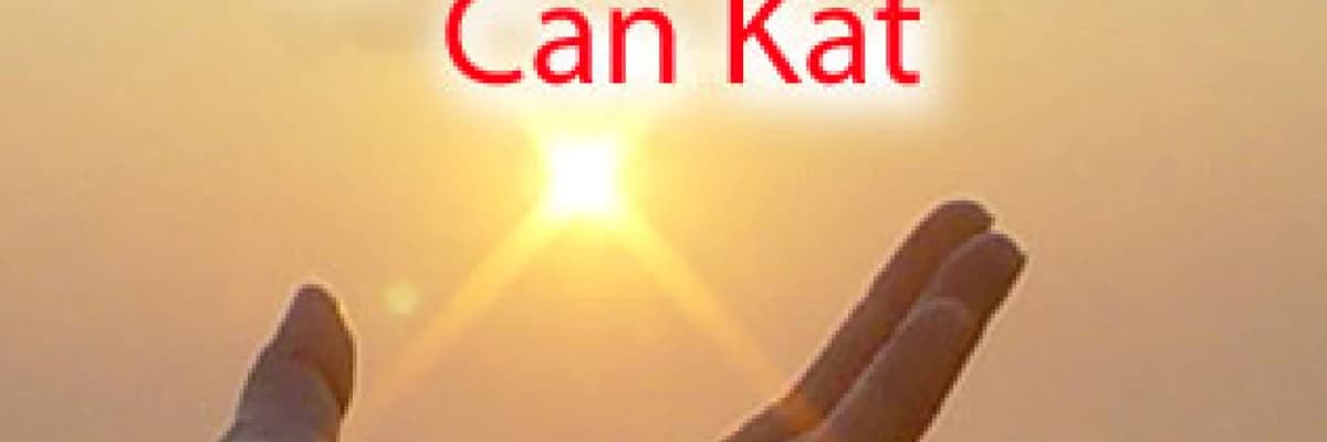 Bir cana can kat