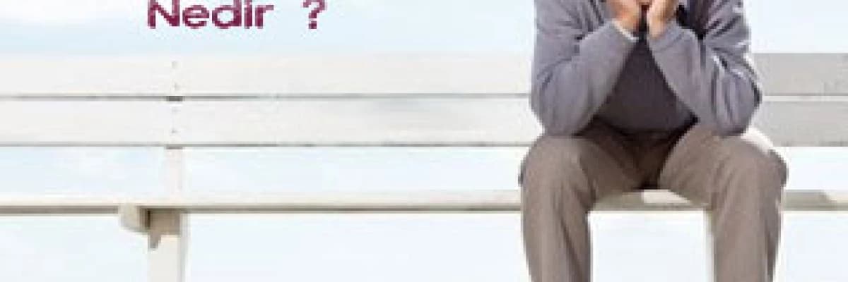 Prostat nedir ?