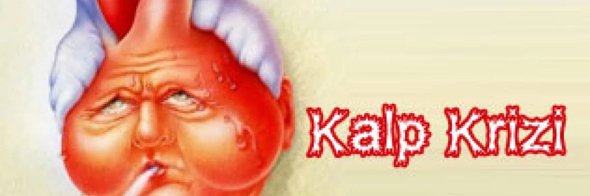 Kalp Krizi