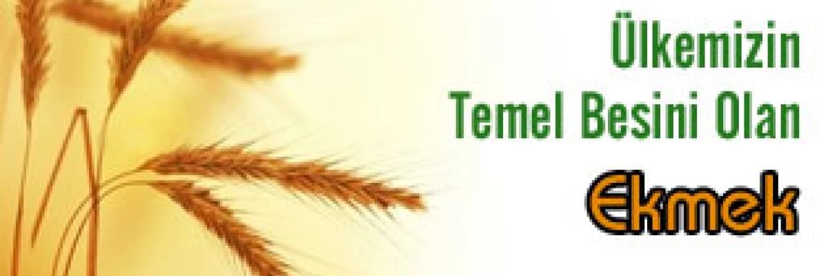 Ülkemizin Temel Besini Olan Ekmek