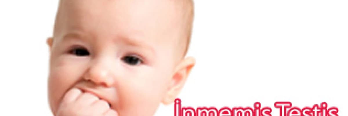 İnmemiş Testis