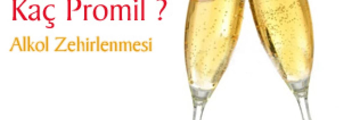 Kaç Promil ?  Alkol Zehirlenmesi