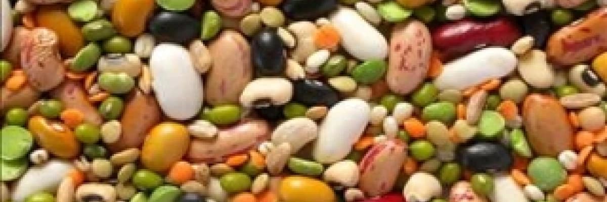 Kurubaklagiller Soframızda Yerini Alsın