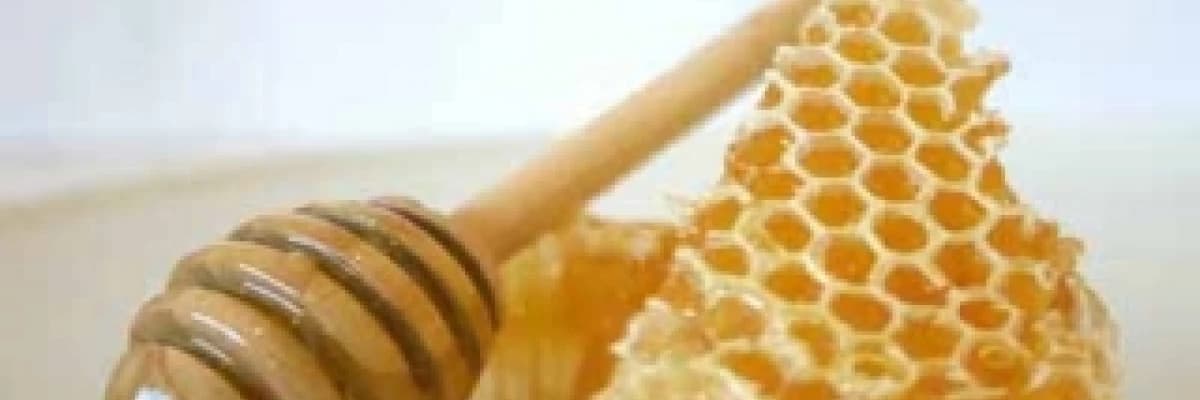 Mucizevi Altın Sıvı: BAL