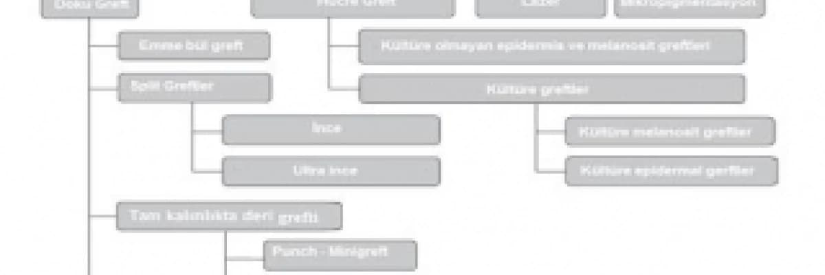 Vitiligo (Ala Hastalığı) Cerrahi Tedaviler
