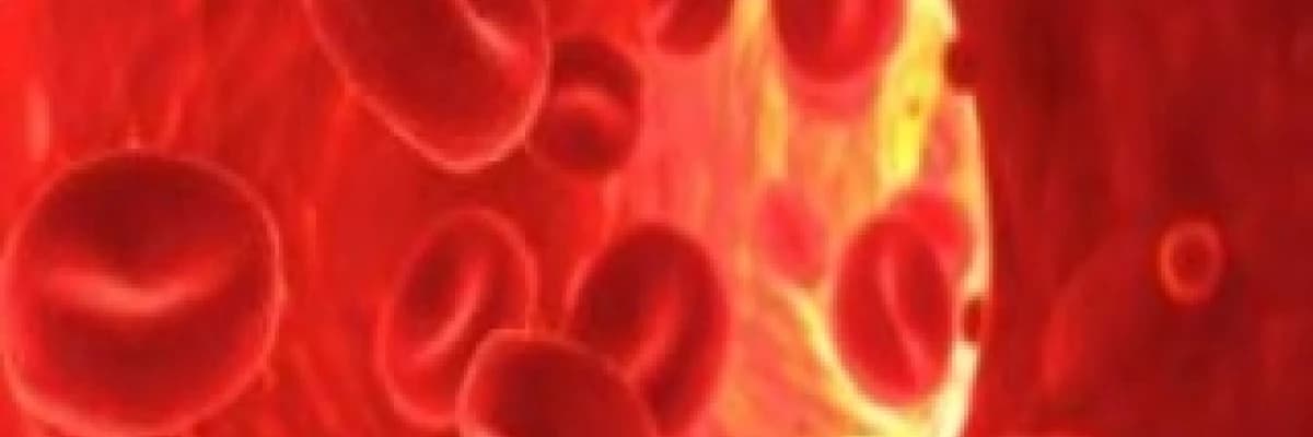 Prp (zenginleştirilmiş trombosit tedavisi)