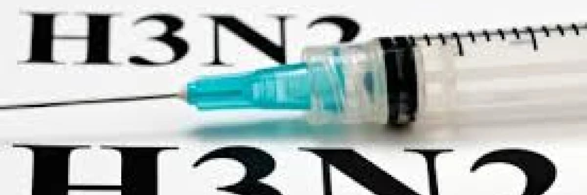 H3N2 Virüsünde Bağışıklık Sisteminizi Güçlendirmek İçin Beslenme Önerileri