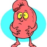 Gastroparezi ve beslenme