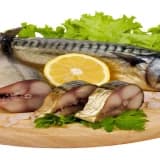 Balık ve beslenmemizdeki yeri