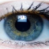 Göz hareketleriyle duyarsızlaştırma ve yeniden işleme (emdr)